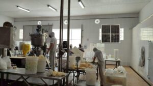 Por que investir em climatização evaporativa para sua empresa